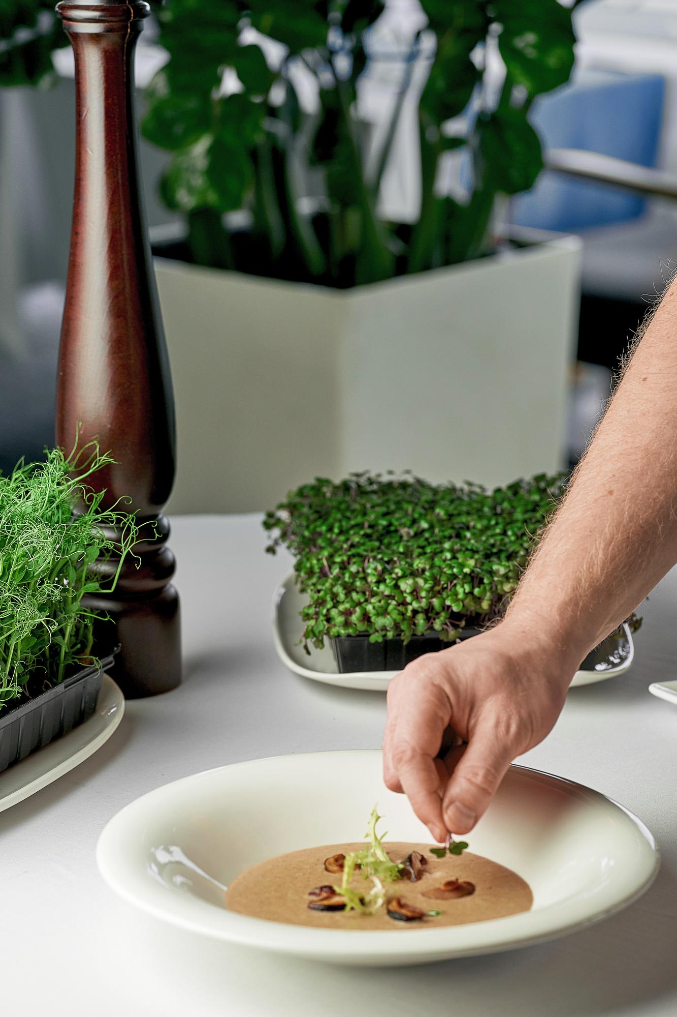 Manos decorando un plato con microgreens